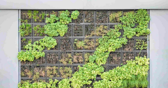 Cómo crear un jardín vertical artificial en casa