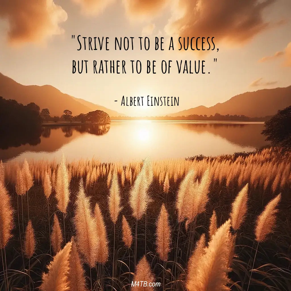 You Got this Quote Alber Einstein Strive not to be a success, but rather to be of value