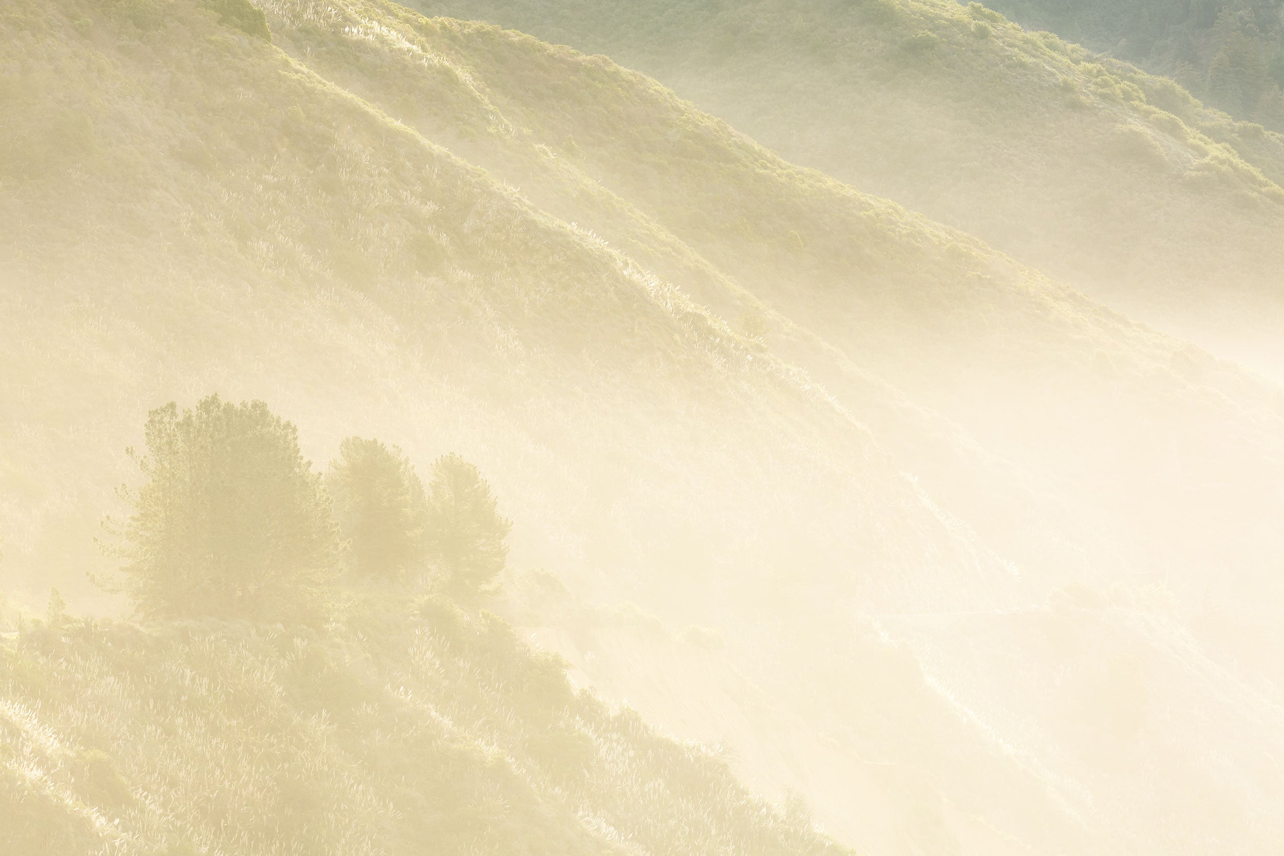 A Lars Gesing fine art nature photograph of California's Big Sur coastline along Highway 1, one of the best roadtrips in the world.