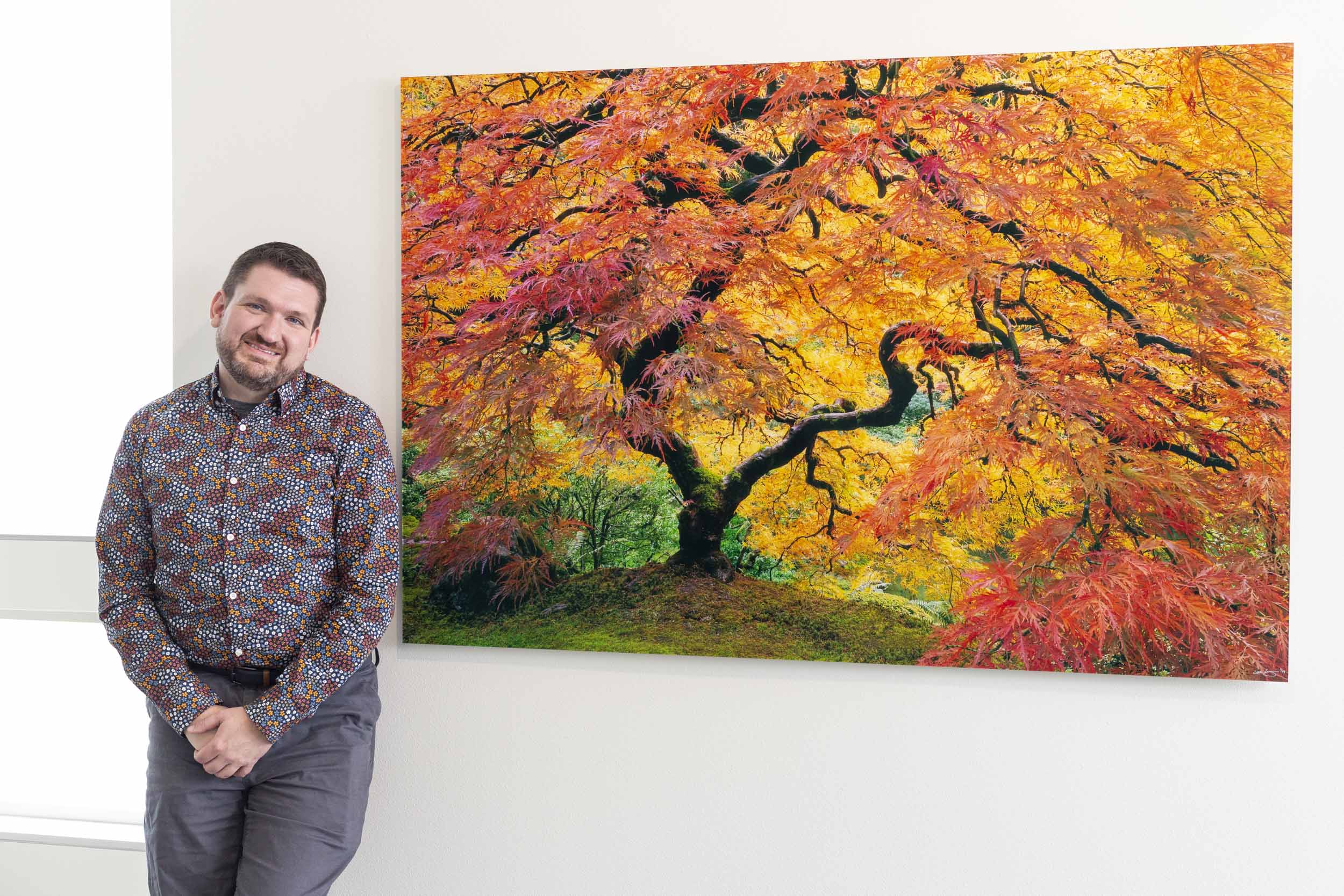 A picture of the famous maple tree at the Portland Japanese Garden hangs in a living room.