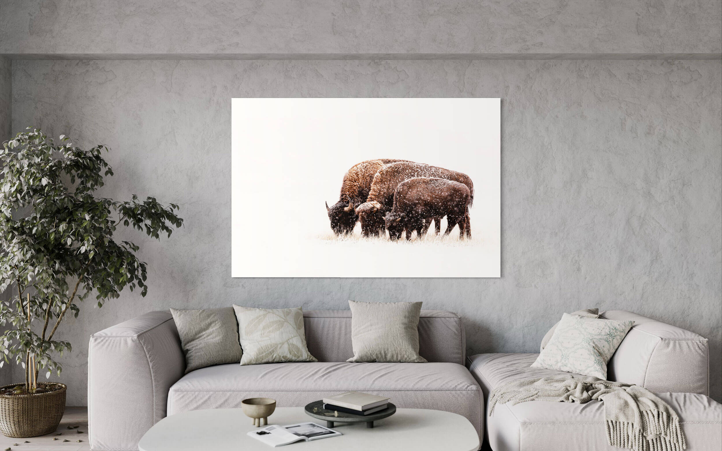 A Denver bison picture hangs in a living room.