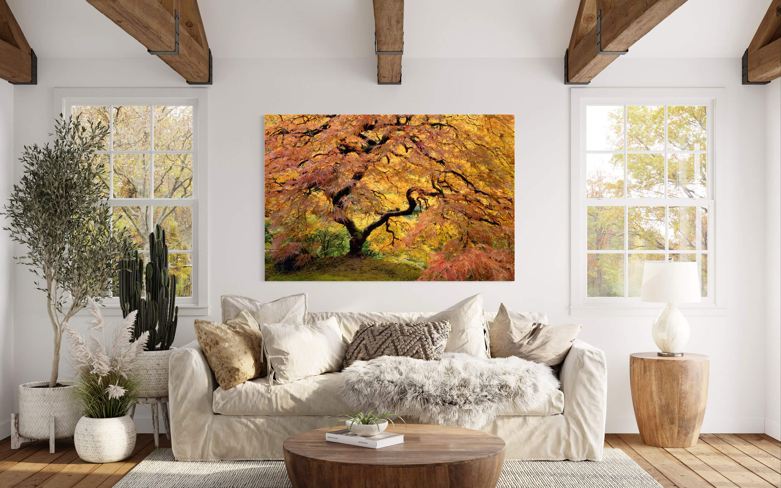 A picture of the maple tree in the Portland Japanese Garden hangs in a living room.