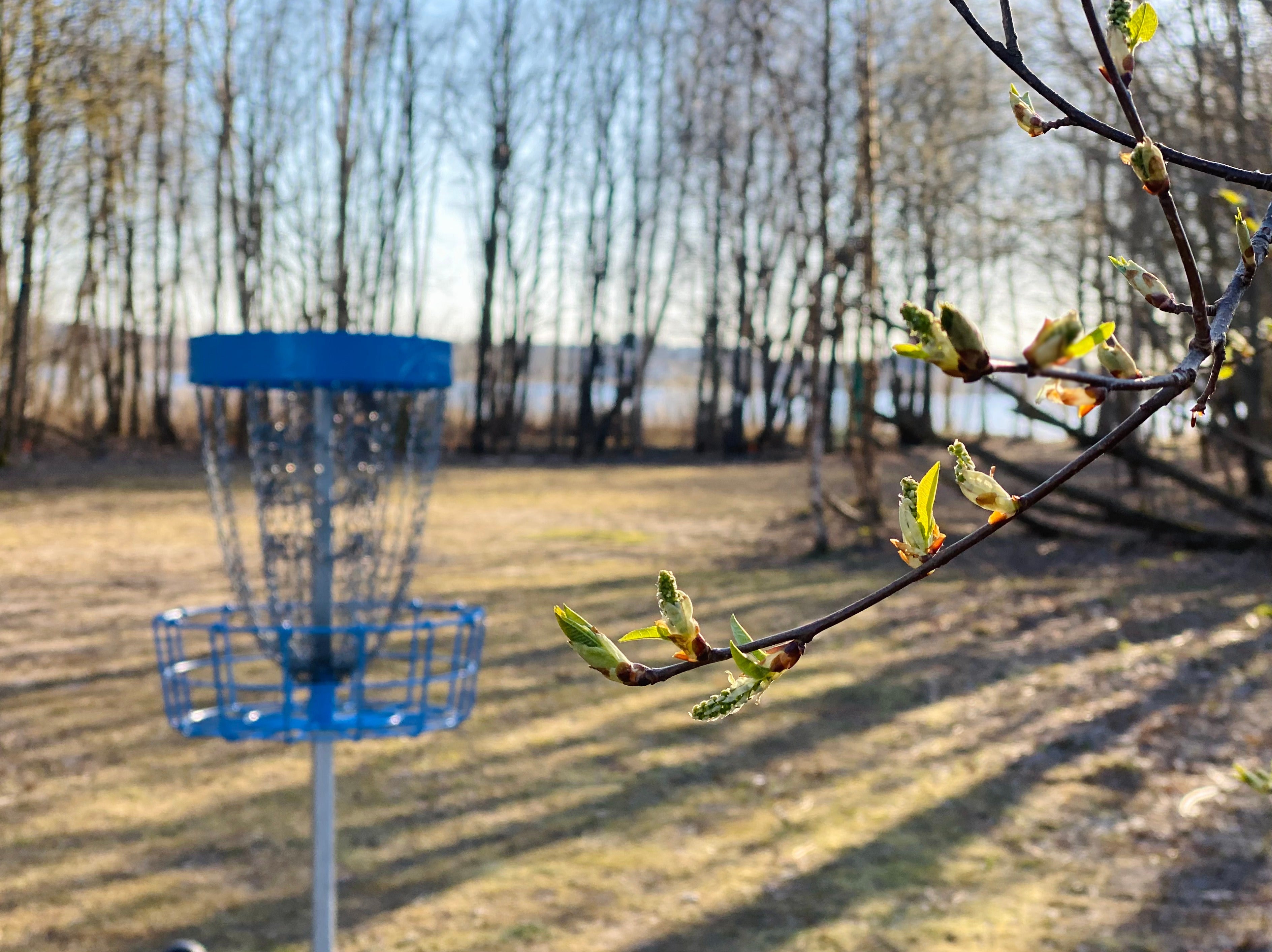 Discgolf.ee, Discland