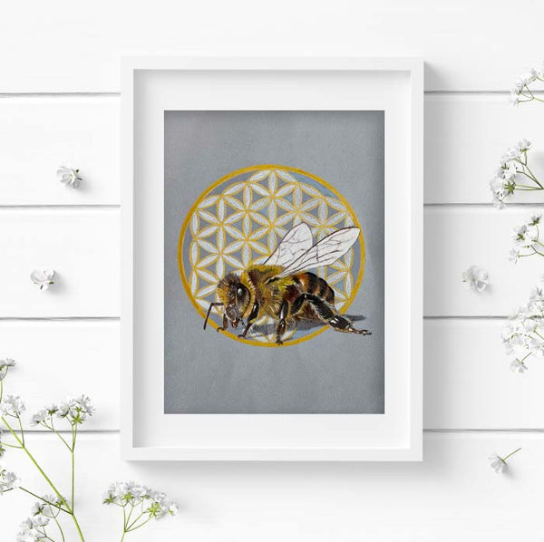 honey bee pencil drawing in a white frame