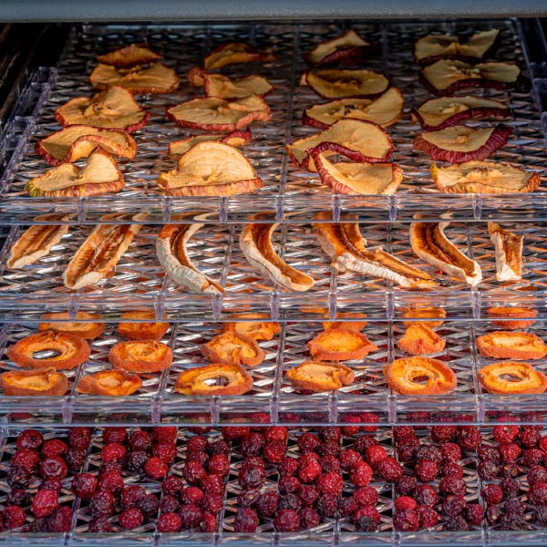 dried fruit on plastic racks