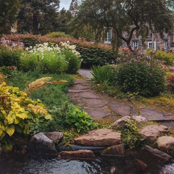 backyard garden with pond and stone walkway