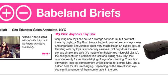 Babeland Review Joyboxx Caja de almacenamiento para adultos Caja de juguetes sexuales