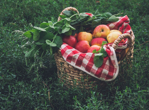 Fruit Basket