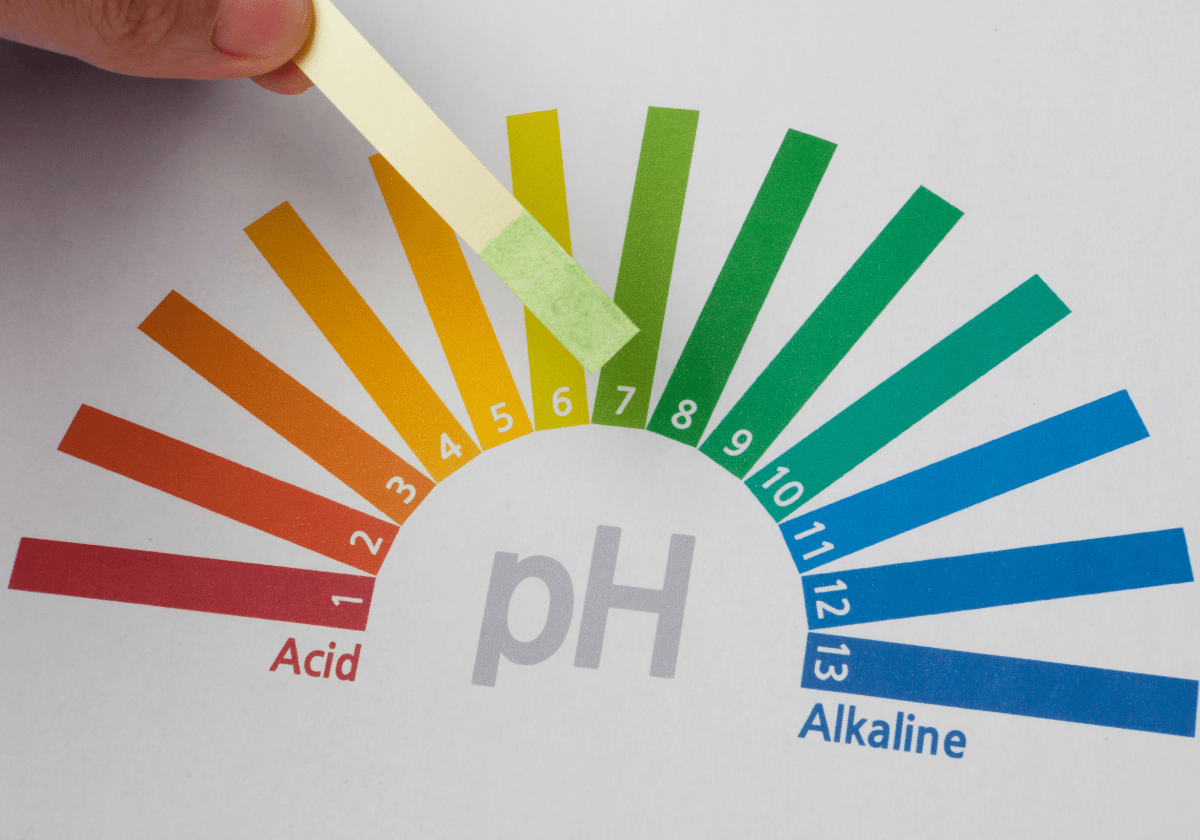 test the Ph of water