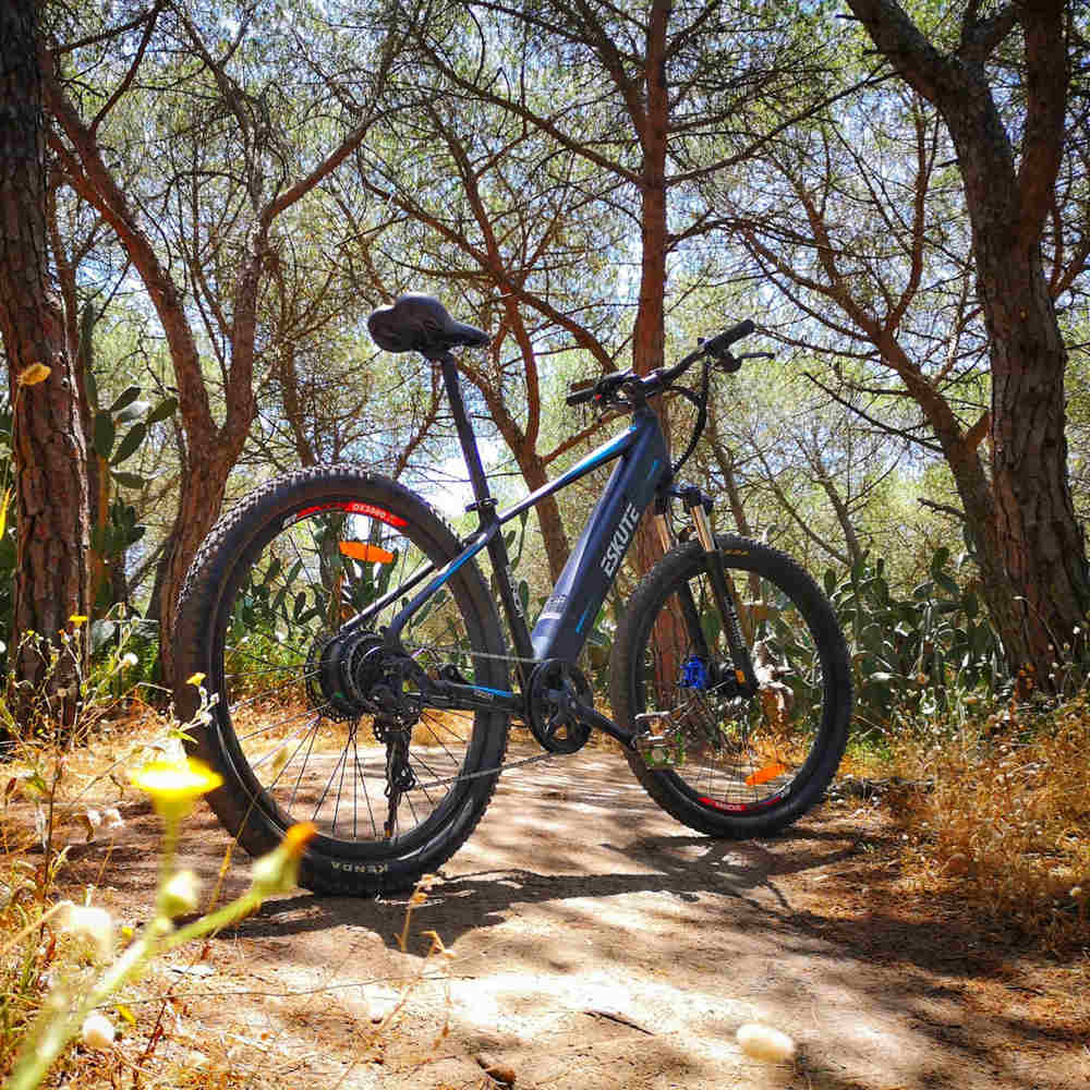 A mountain e-bike parked at Mori Lee