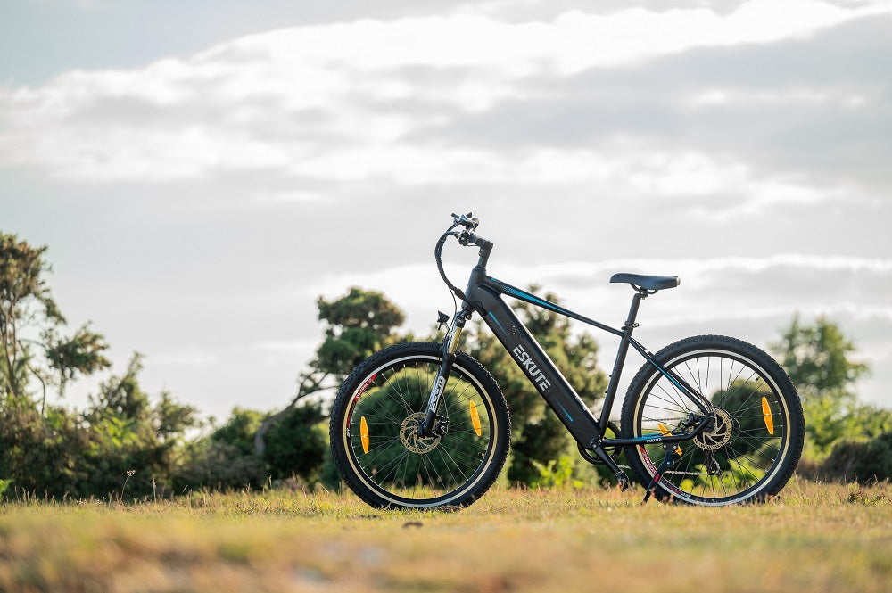 An electric bicycle parked in the grass