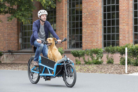 Cycling with dog by cargo bikes
