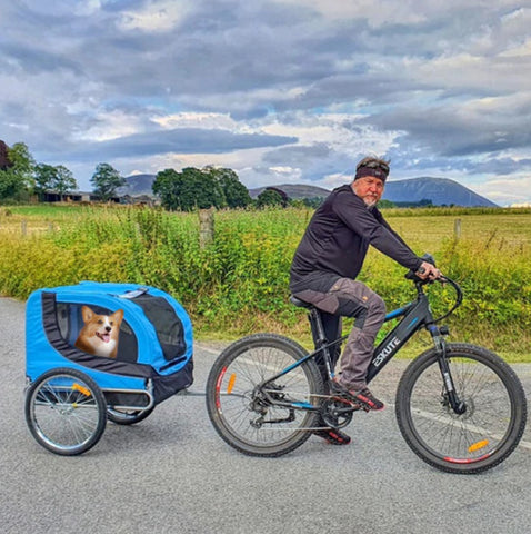 Cycling with dog by trailers