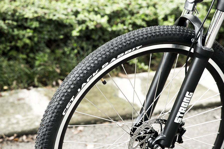 eskute Voyager Pro electric bike fat tire