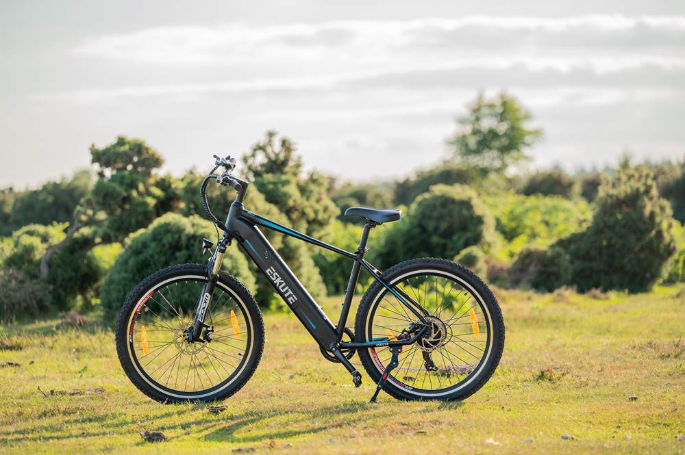 Netuno E-Mountain Bike on the grasslands