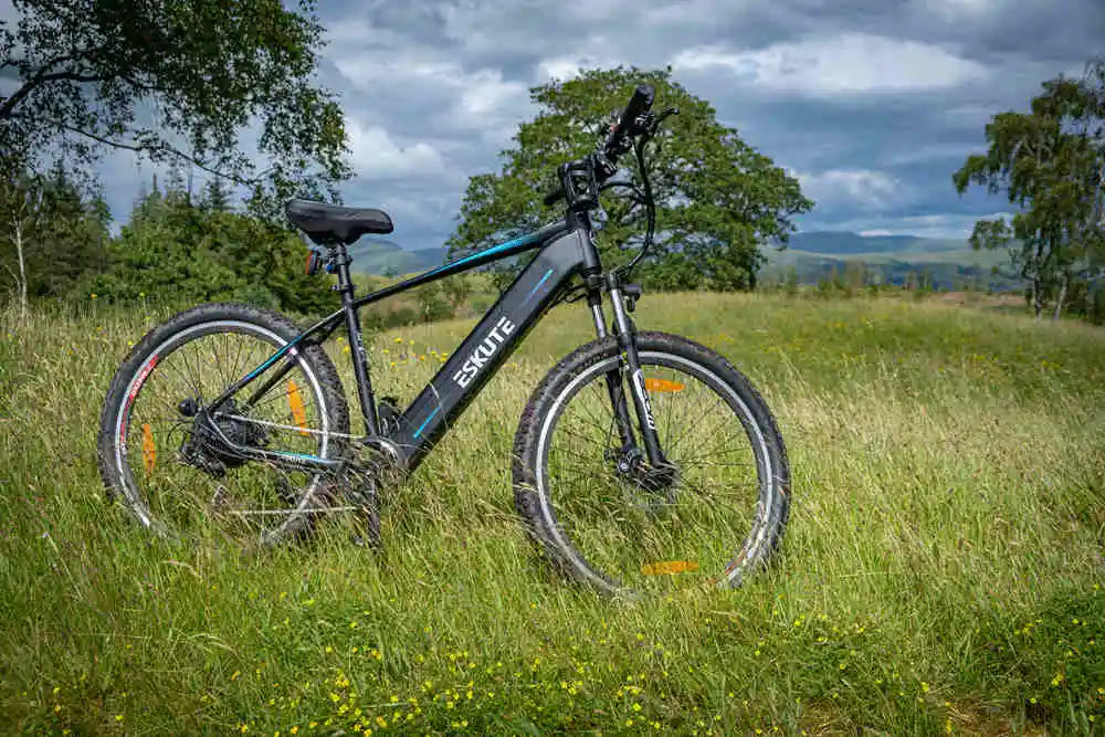 Netuno E-Mountain Bike on the grassland