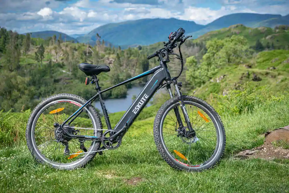 Netuno E-Mountain Bike on the grassland along the river