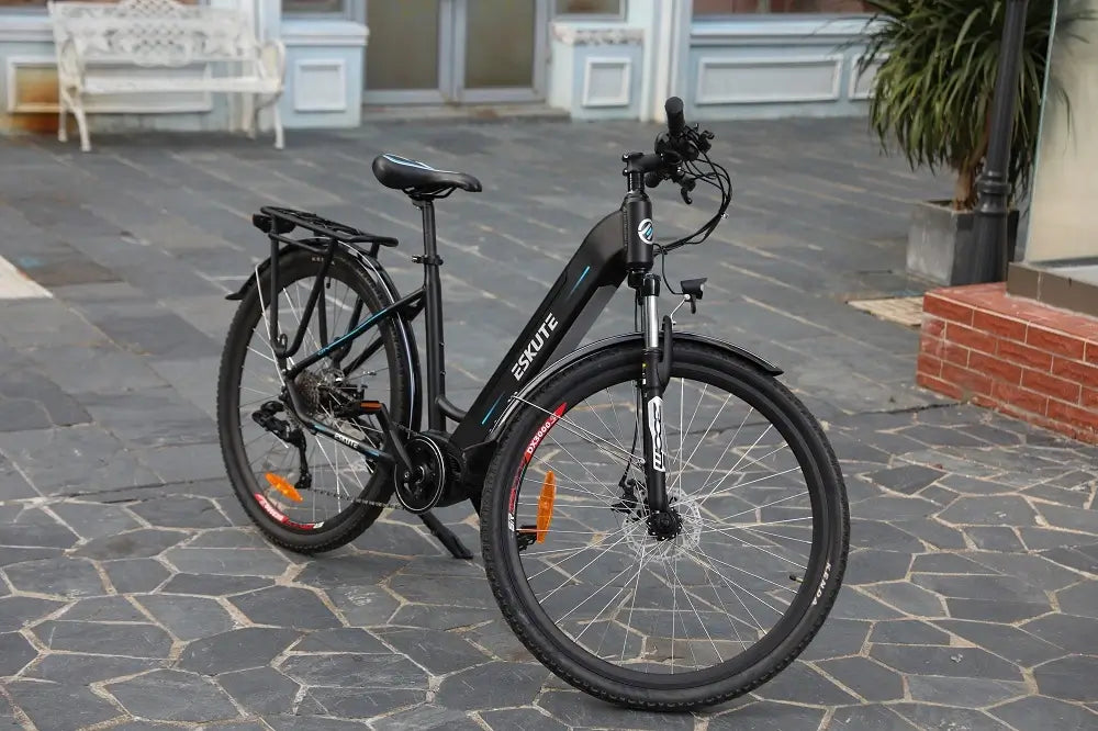 Polluno Pro Commuter Electric Bike