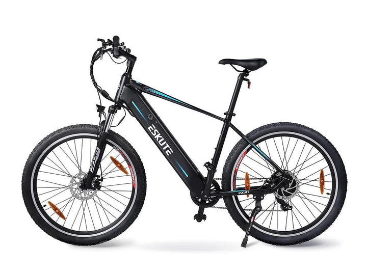 Step-Over eBikes