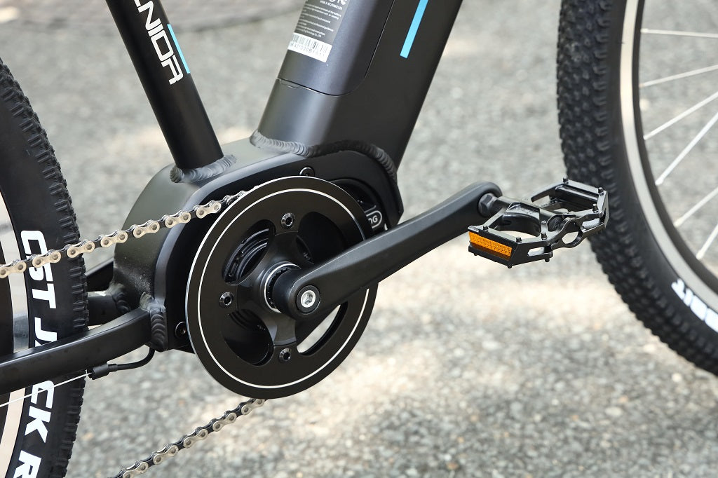 Voyager Pro electric bike pedal