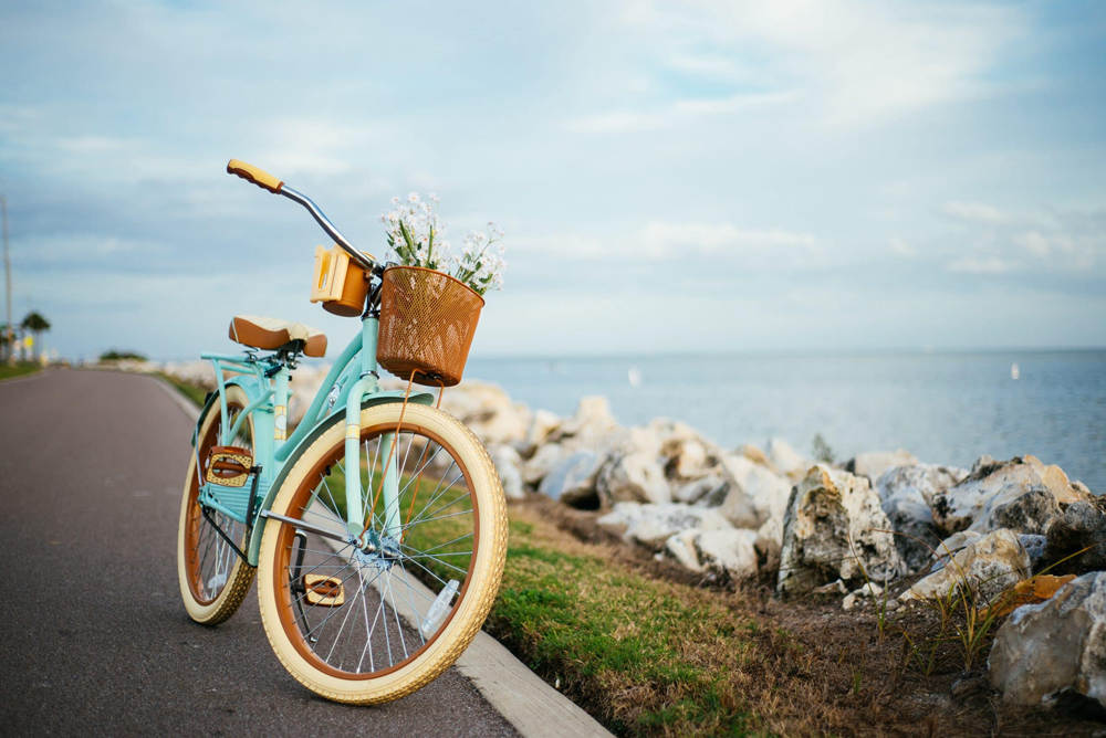 bike with cruise handlebars near the seaside