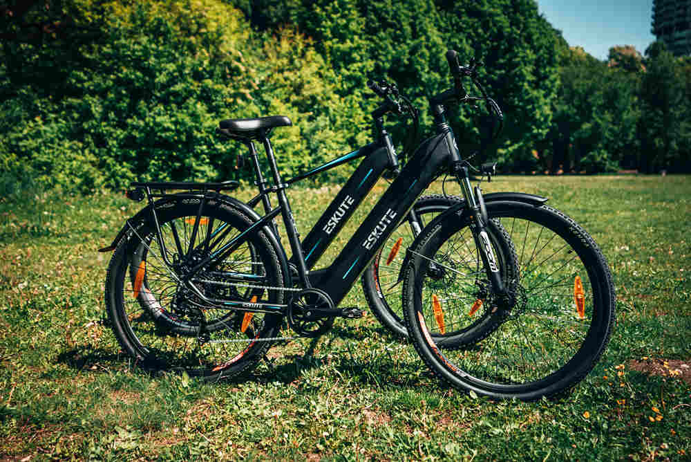 lectric bikes pulluno and netuno on the grassland