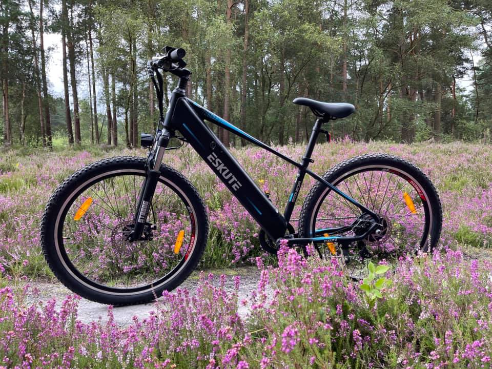 Everything You Need to Know About Spring E-bike Riding 