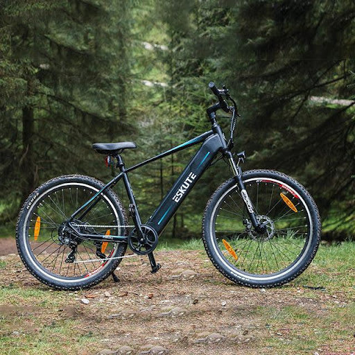 ESKUTE mountain bike under 2000 in the forest