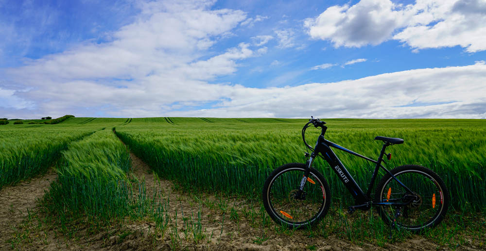 crossbar electric bike in the wheat fields