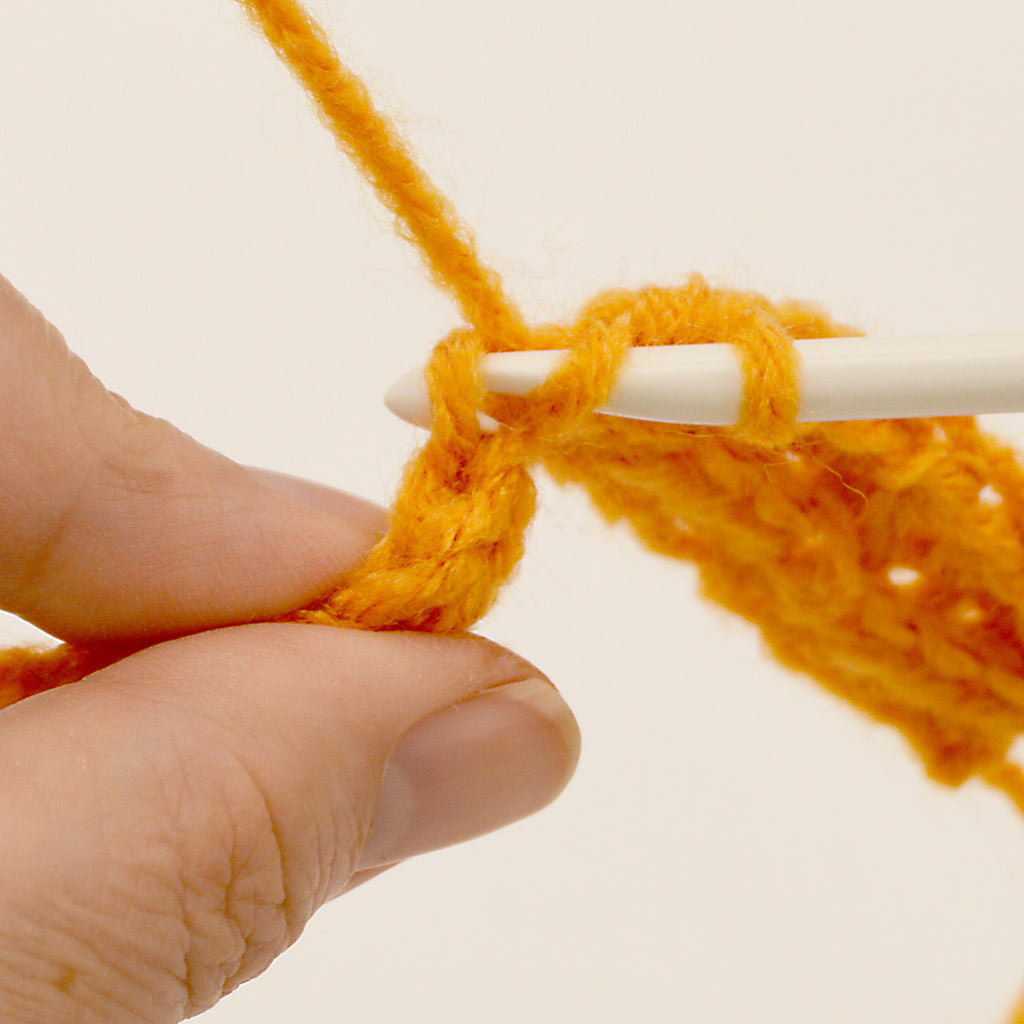 Crochet Pumpkins Project