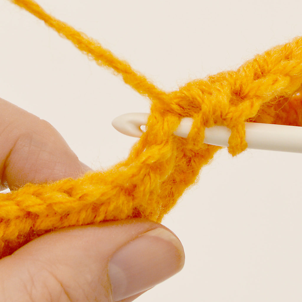 Crochet Pumpkins Project