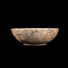 Exquisite Marble Fossil Bowl