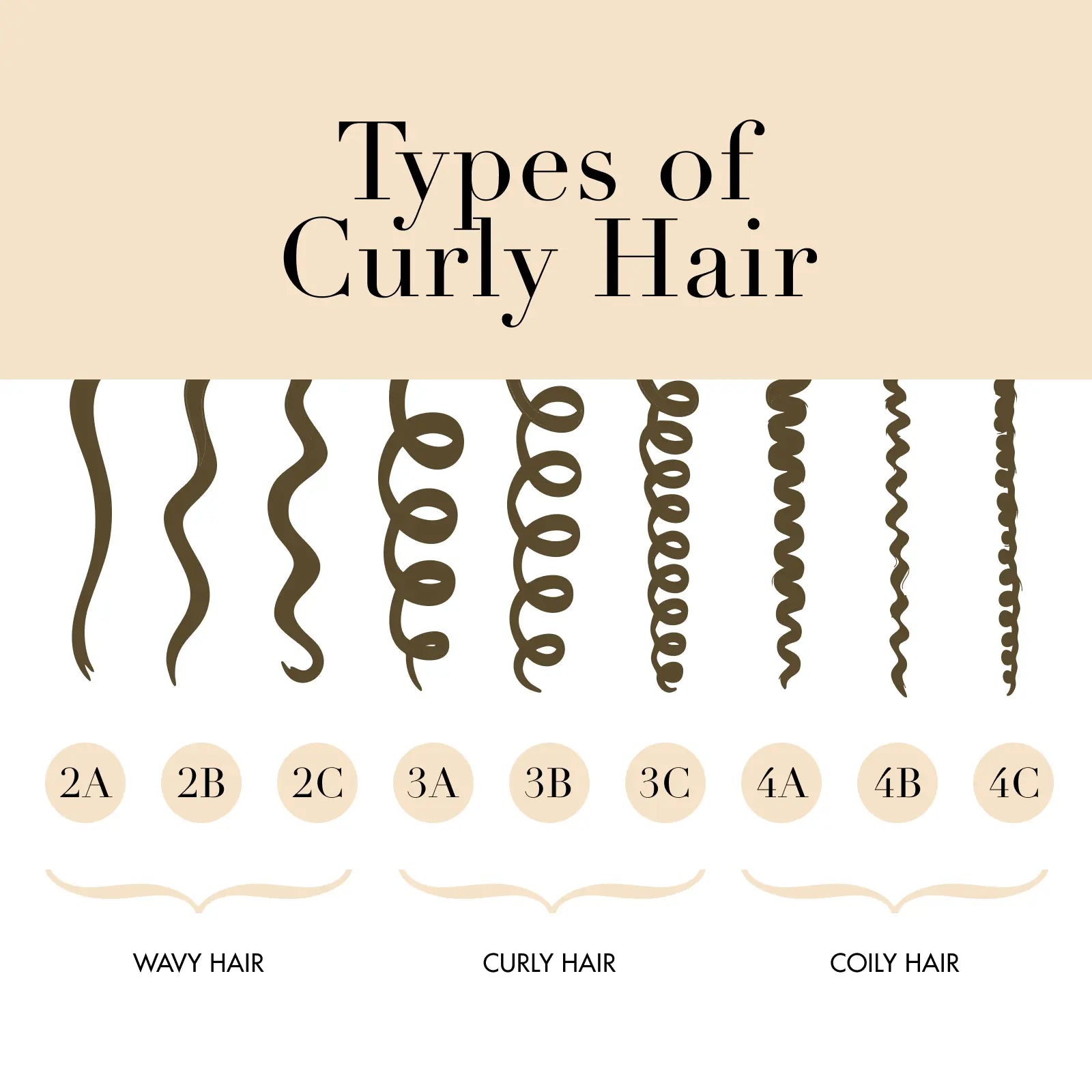 what are the different types of curly hair