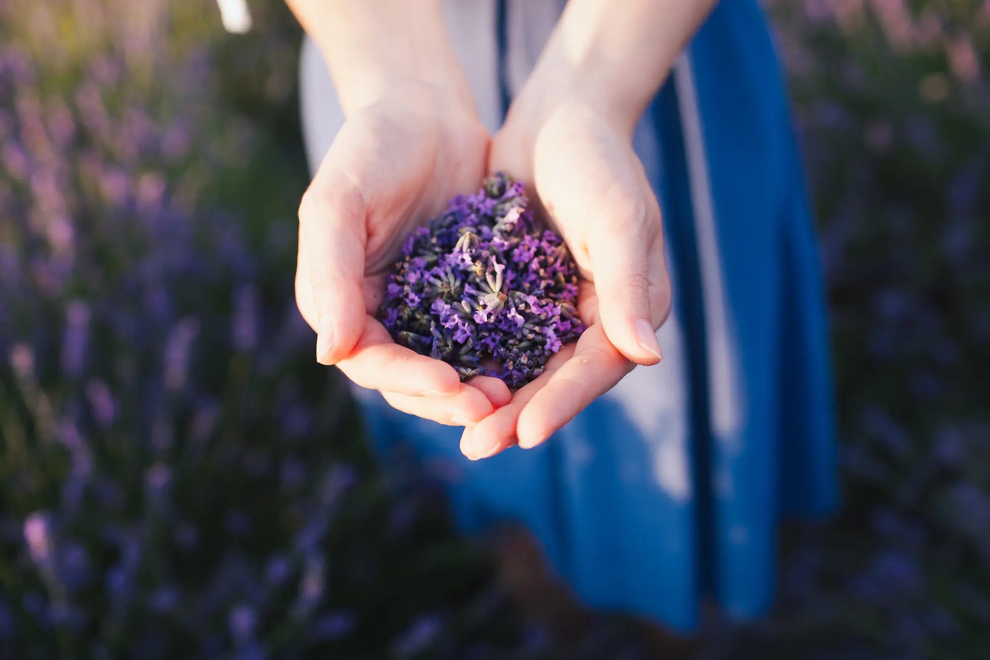 combining lavender oil with other essential oils