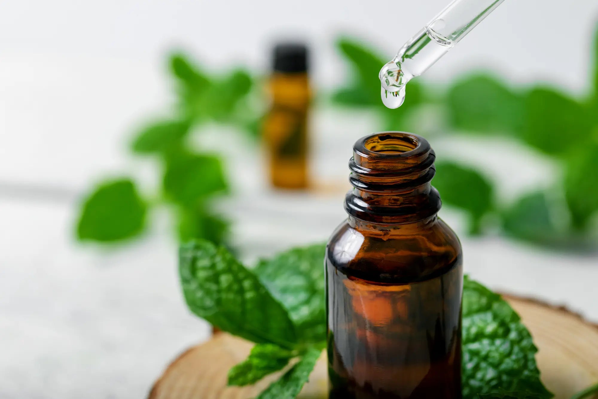 understanding peppermint oil