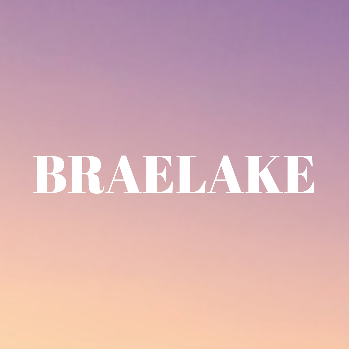Braelake Studio