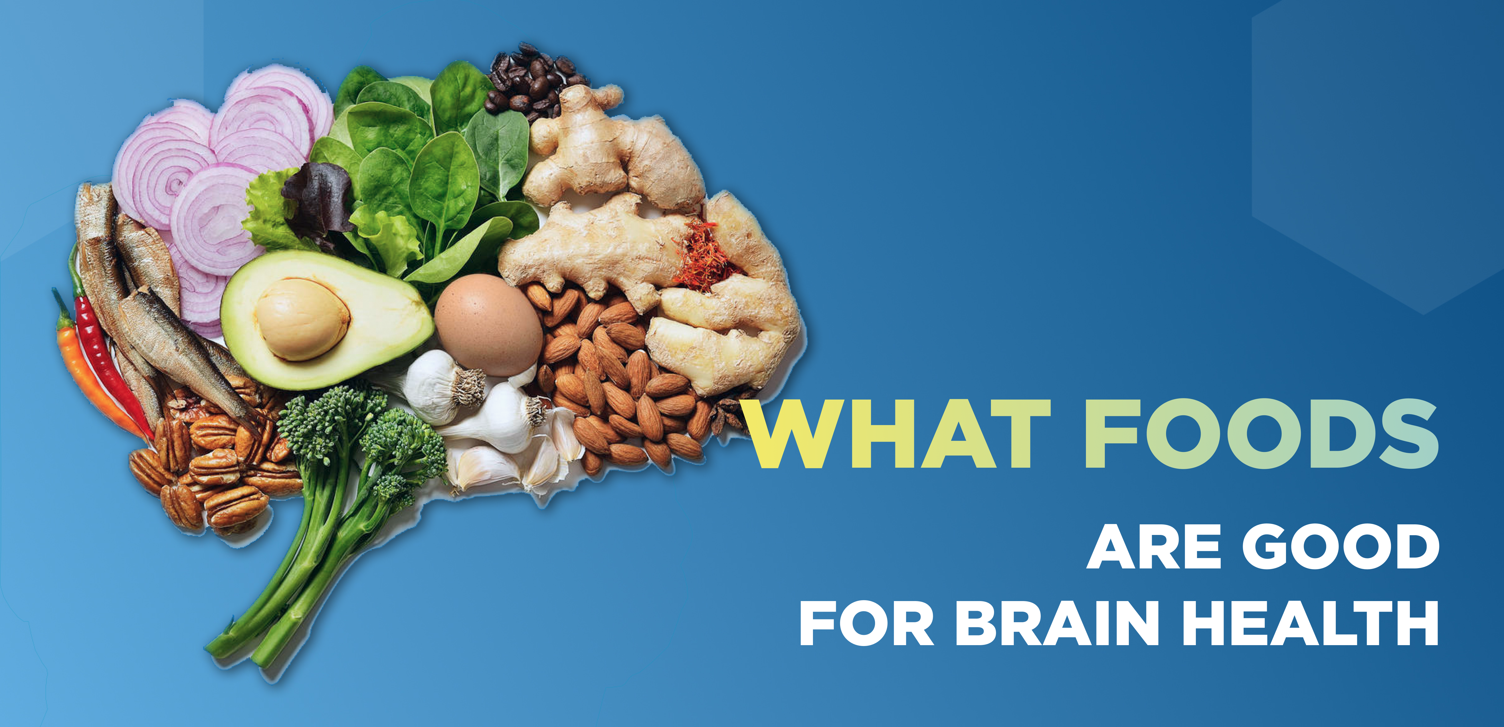 Nutrition For Brain Health And Cognitive Performance: Top 5