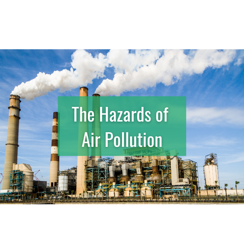 The Hazards of Air Pollution