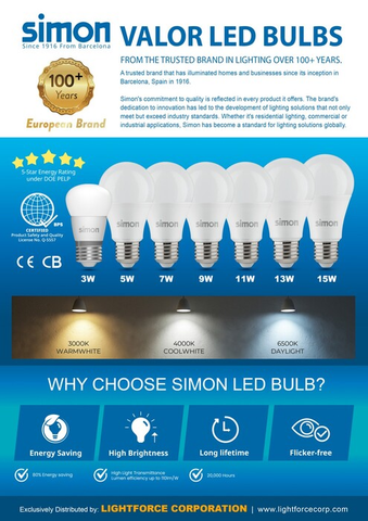 LED light supplier