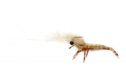 Guido Shrimp White — The Flyfisher