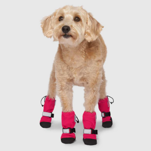 PAWSH PADS PAW PROTECTORS – The Social Pup