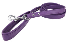 Load image into Gallery viewer, Angel Alpine Leather Leash with padded handle - 4FT
