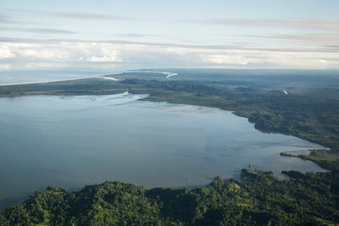 Alta moda Silvestre e il programma di riforestazione della Colombia