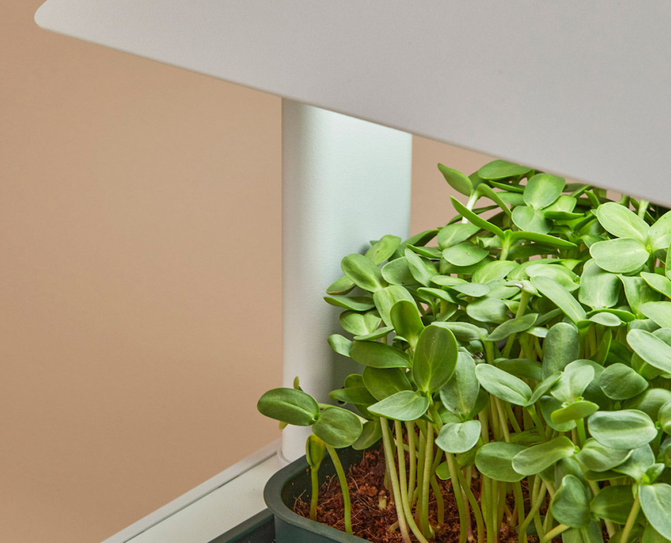 The Next Generation Of Indoor Gardening Fieldhouse
