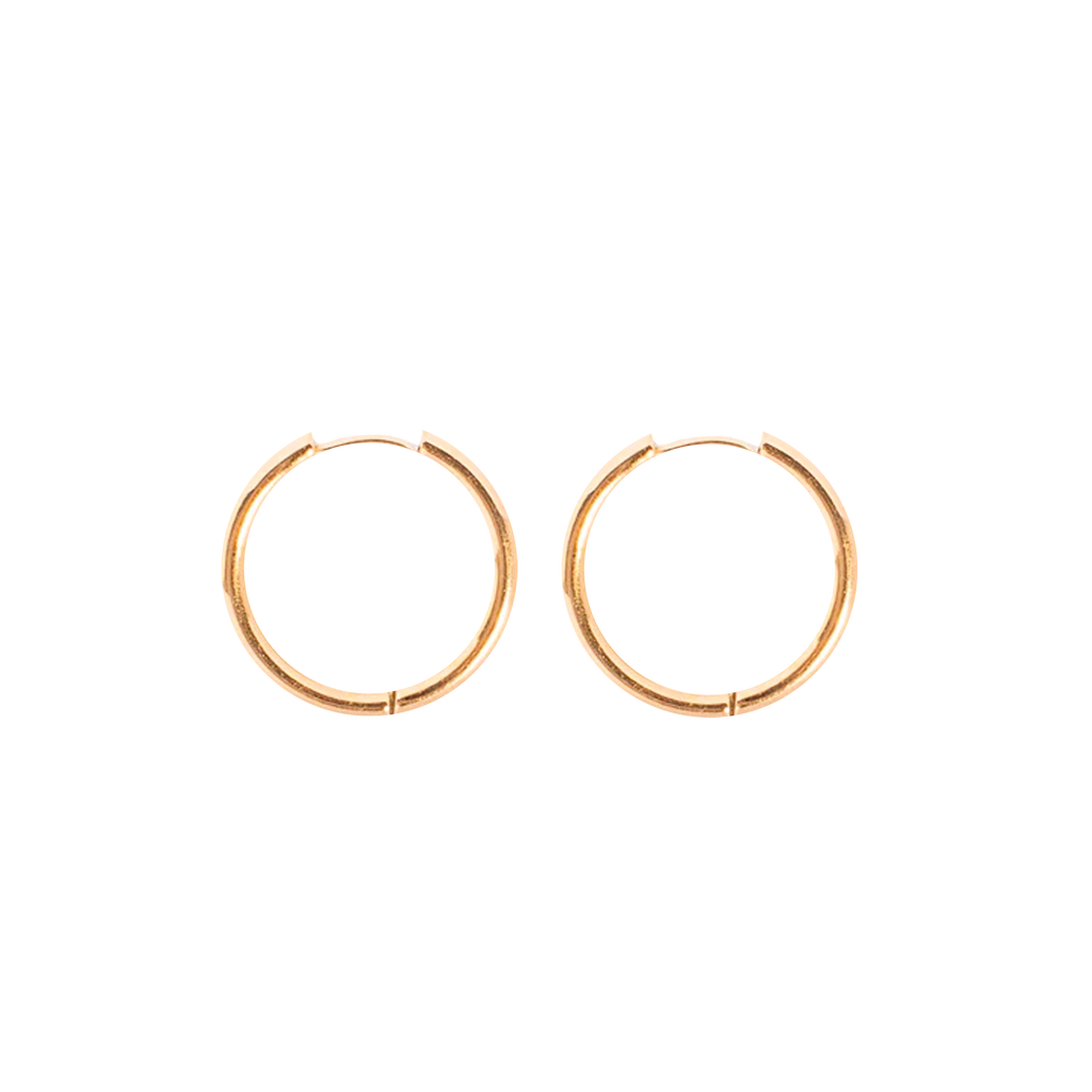 Large Hoop Earrings (4168950055025)