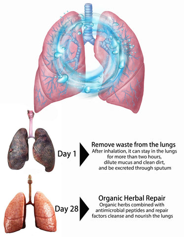 Clear Revive® Snoring Nasal Spray