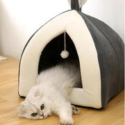 Rabbit Design Cat Waterloo - Gifts2Sale