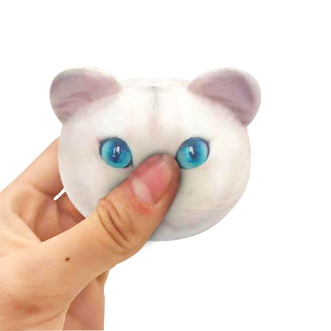 Squishy Chat Le Monde Des Squishy