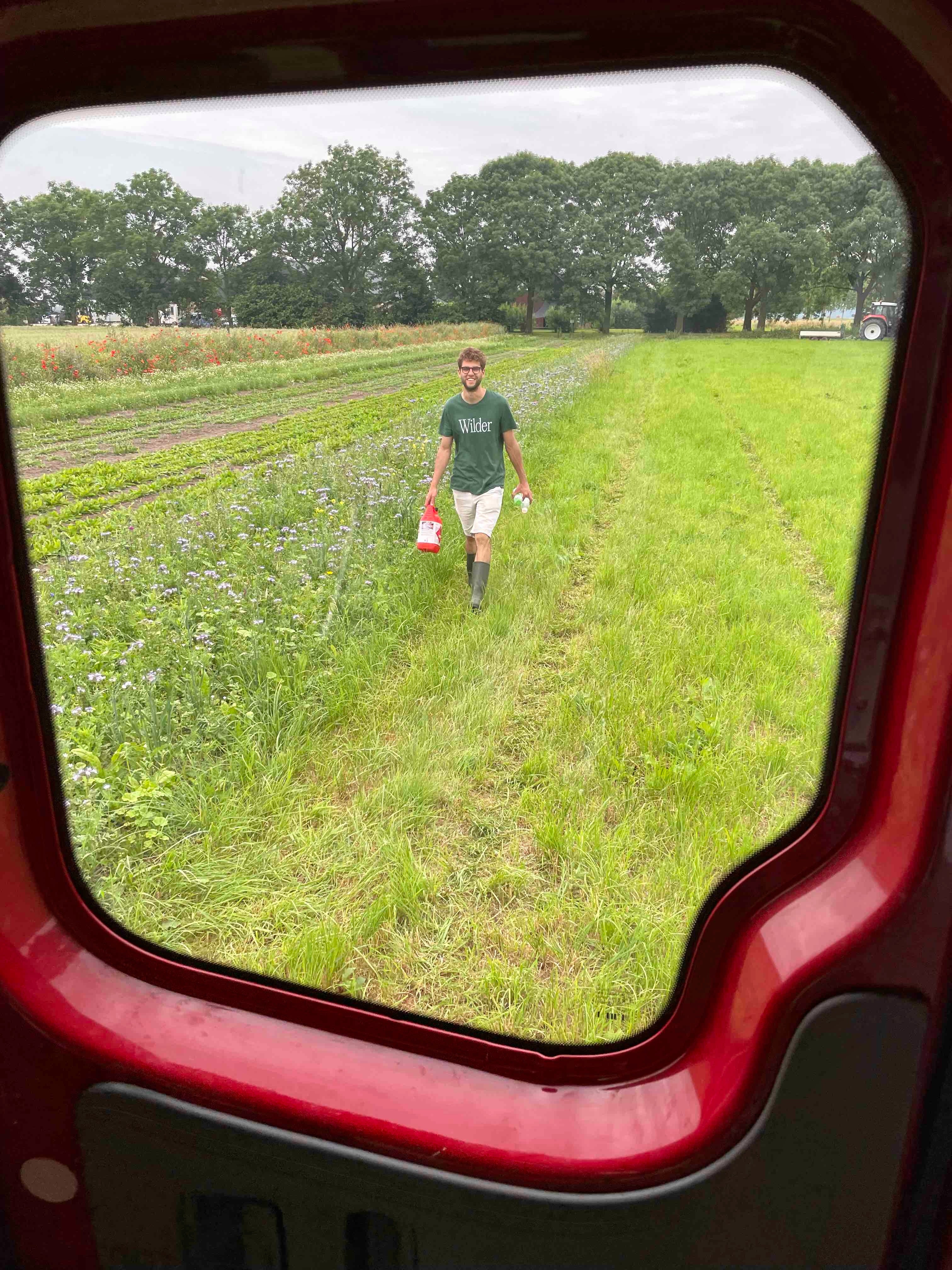 Wilder Land (on)kruiden oogst Kamille biodiversiteit