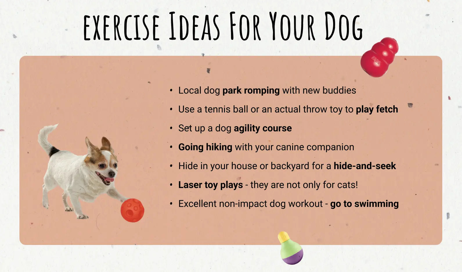 Dog Exercise Tips